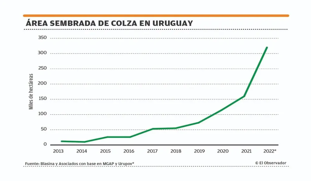 El área de colza, en franco ascenso.