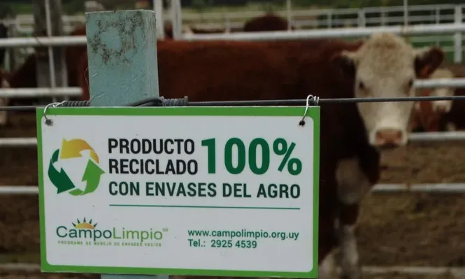En el feedlot de Expo Melilla se utilizaron plásticos reciclados gracias a la gestión de Campo Limpio.