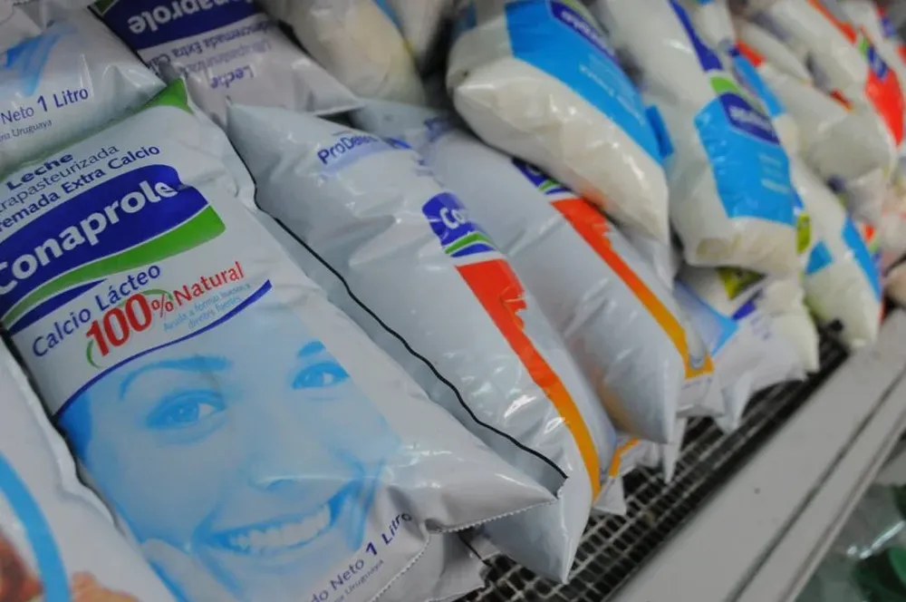 Tamberos argumentan caida de precios que sufren en exportaciones desde hace casai dos años