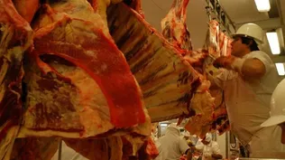 Exportaciones de Uruguay a la Unión Europea