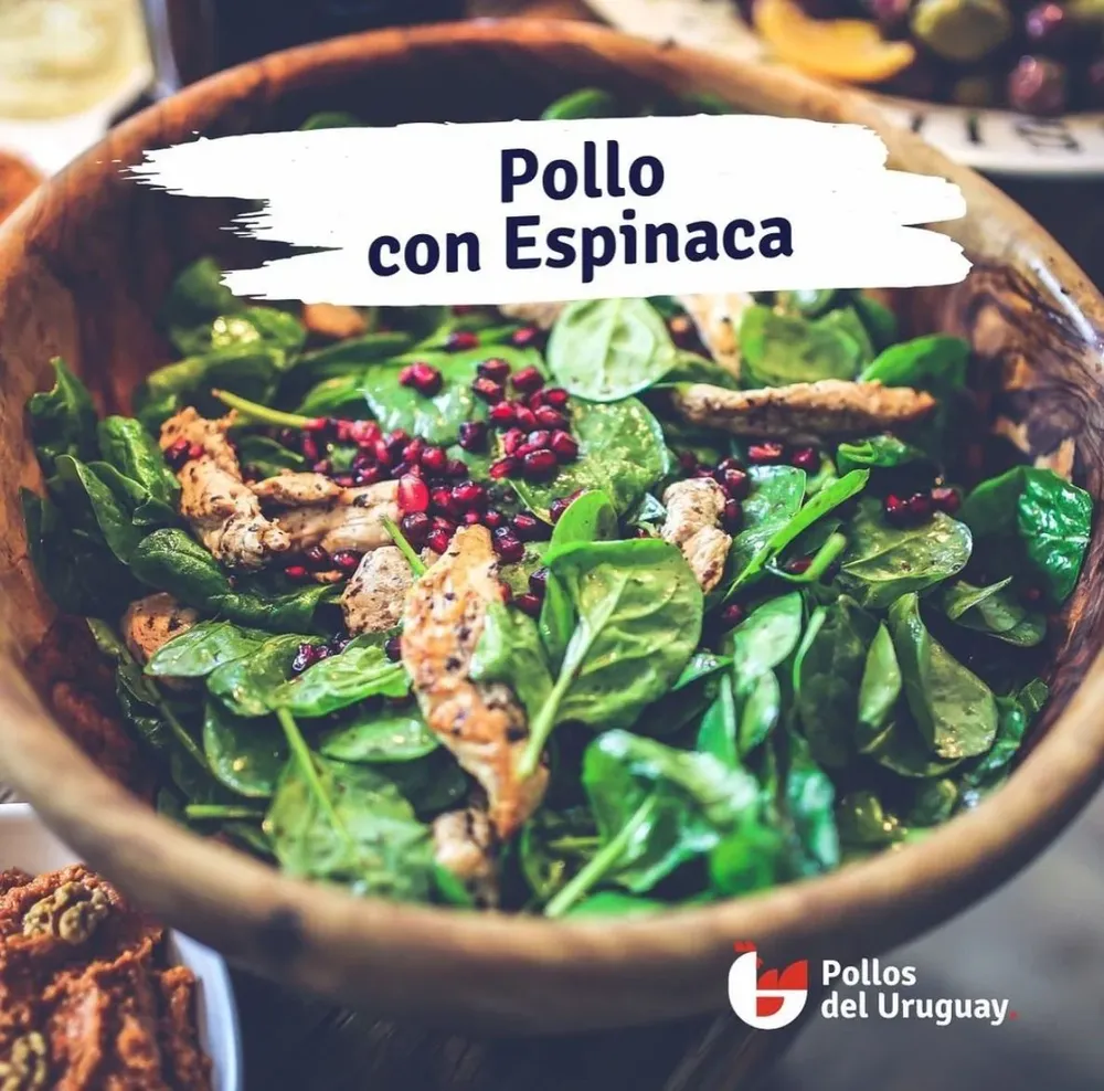 Pollo con espinaca