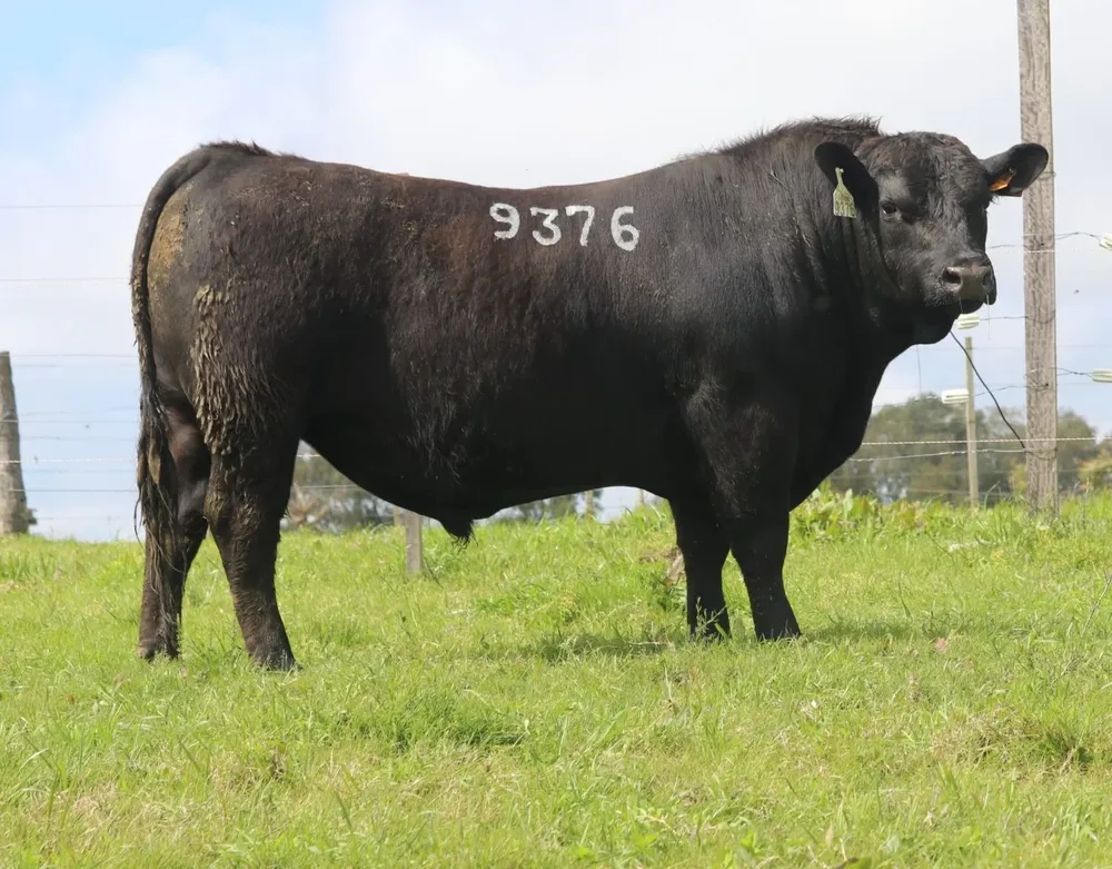 La venta online se hará desde el 23 de setiembre al 11 de octubre.