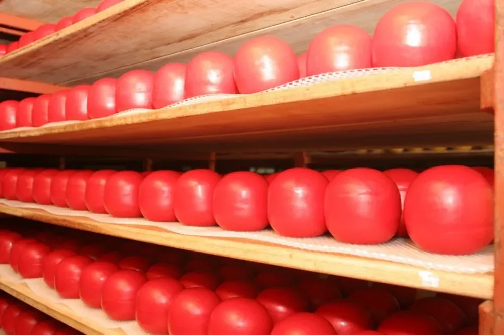 Hubo recuperación de precios en los diferentes rubros lácteos licitados por Fonterra.