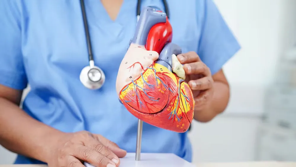 corazon-medico-WSANDR2QYZERTNDOI3OYMISS5E