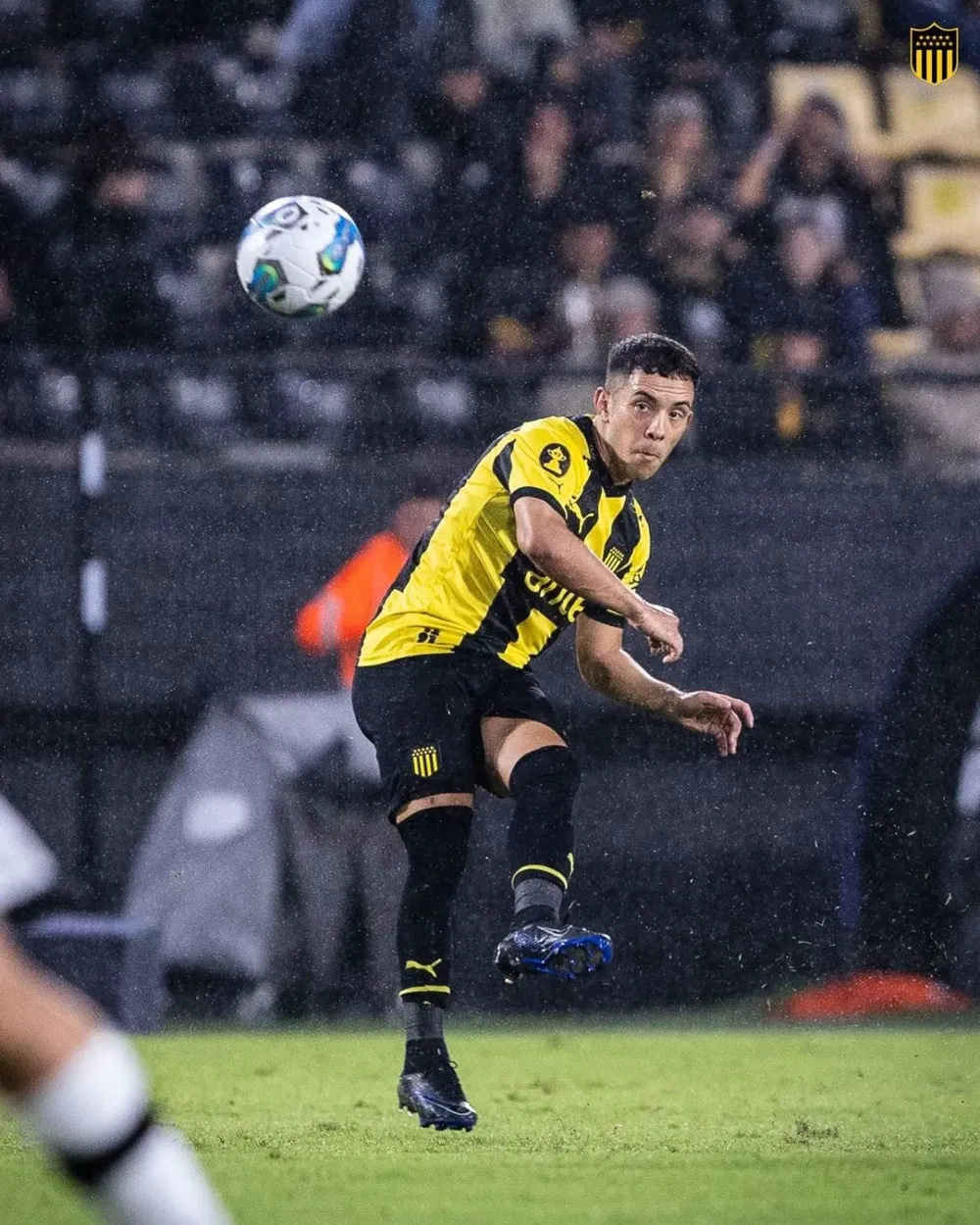 Leonardo Fernández de Peñarol