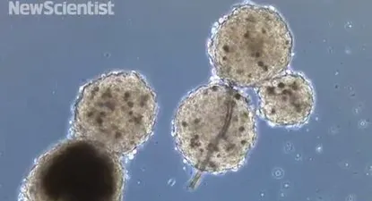 El Observador | 0000296391.webp