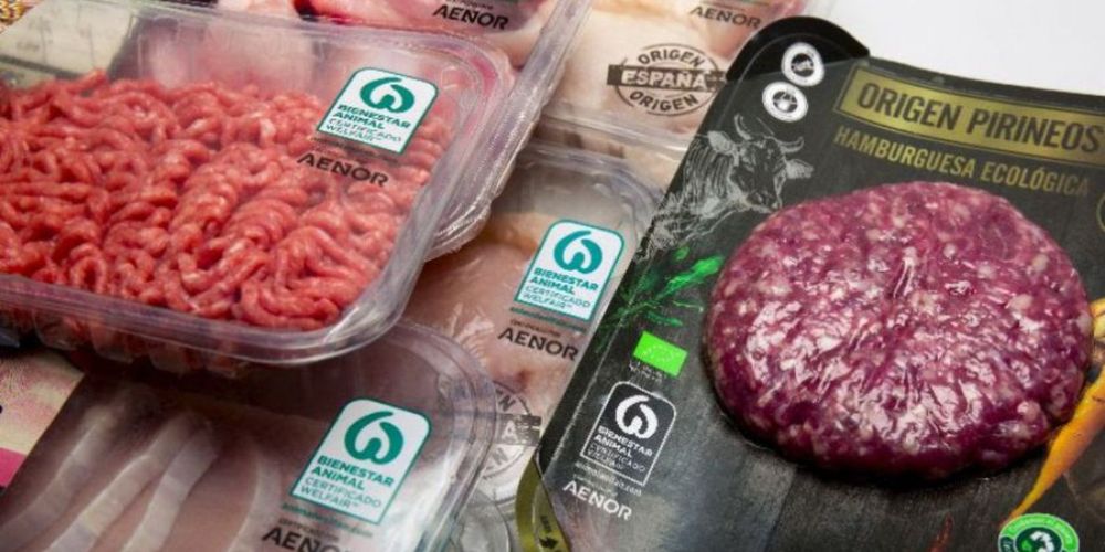 SALMONELLA EN ESPAÑA.jpg