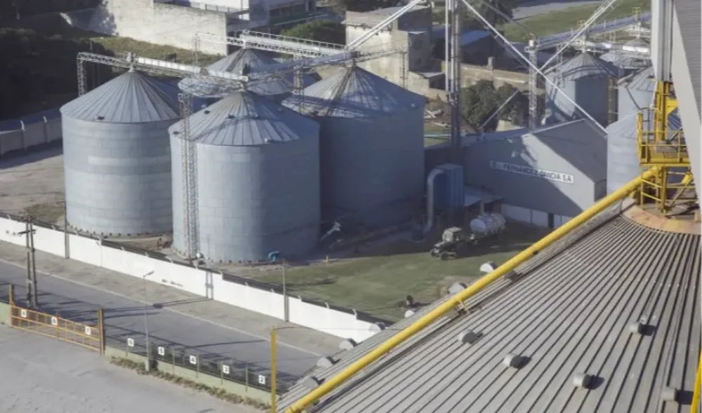 Efectos de la sequía en la producción de harina de soja