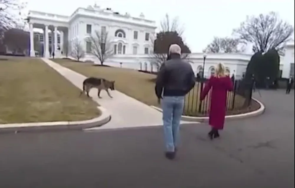 Biden y su esposa Jill con una de las mascotas en los jardínes de la Casa Blanca