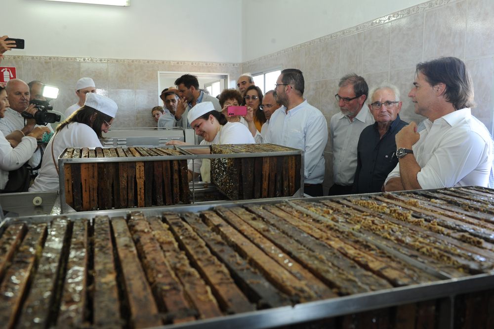 Acto inaugural de la zafra de miel.