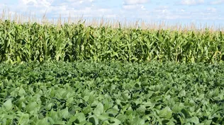 Wellenstein subrayó la importancia de la trazabilidad y de producir con confianza, como en Uruguay