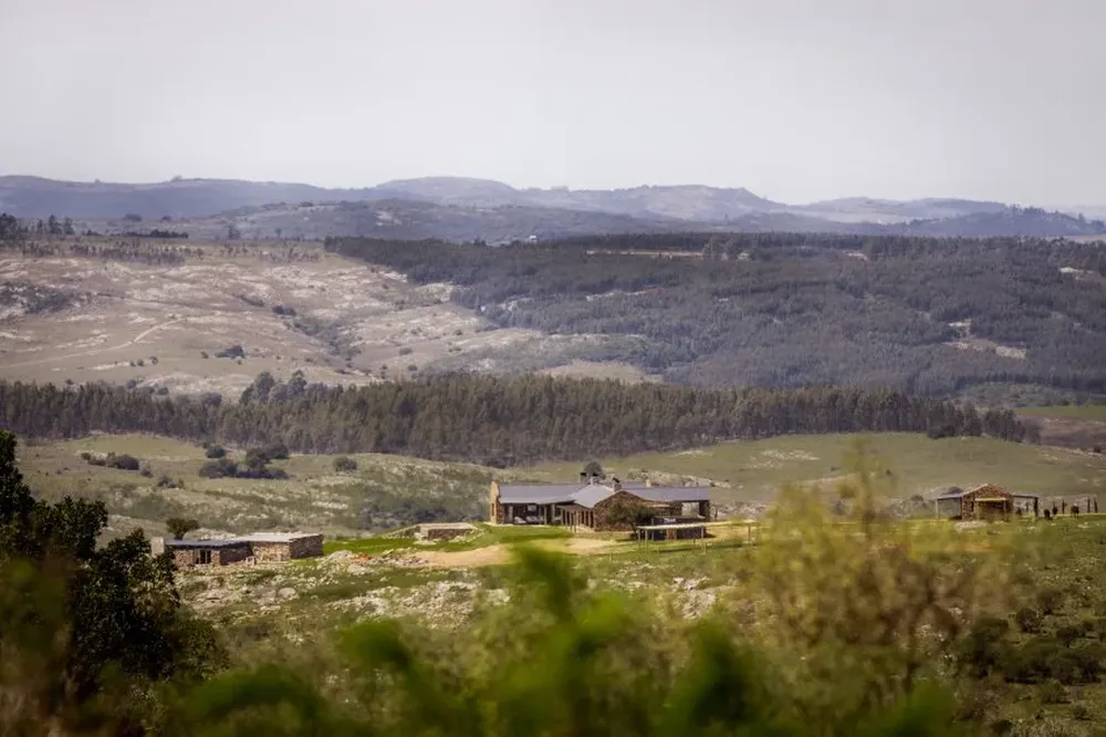 Chacras de las Sierras cuenta con canchas de polo y viñedos