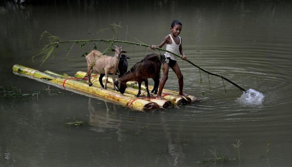 India. Un niño se pone a salvo junto a tres cabras tras nuevas inundaciones
