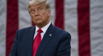 El Observador | trump yo no fui.jpg