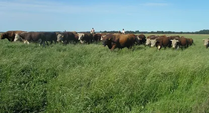 El Observador | 1600396096152.webp