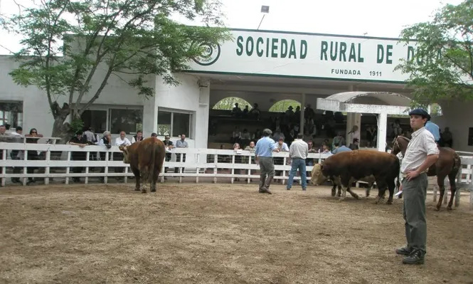 Alta colocación de la oferta de Urioste y Mailhos