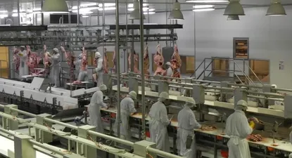 Caída de exportaciones se explicó por fuerte baja en sector industrial