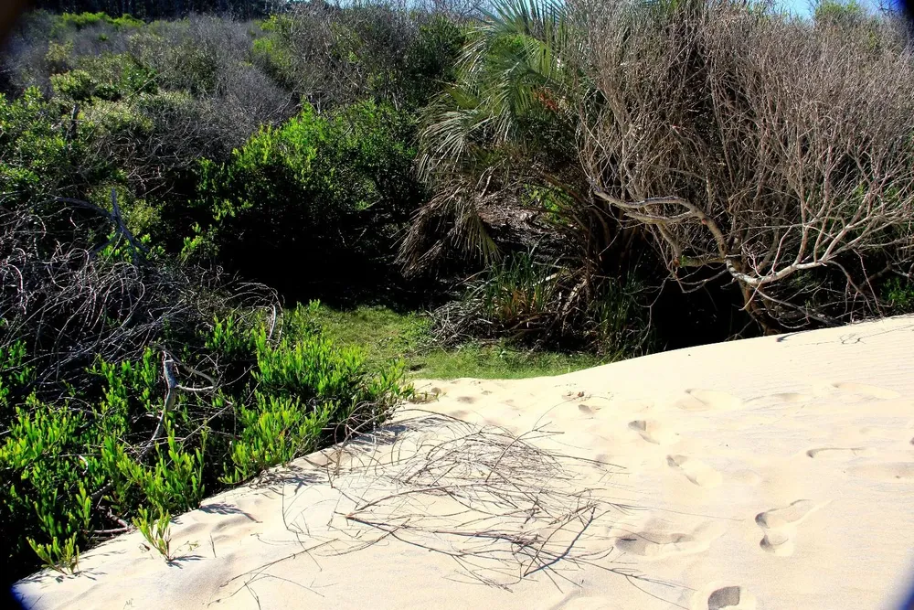 El cuerpo de la adolescente argentina fue hallado el 28 de diciembre de 2014 entre las dunas