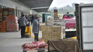 La moderación inflacionaria se da en línea con las expectativas de los analistas consultados por el Banco Central (BCU).