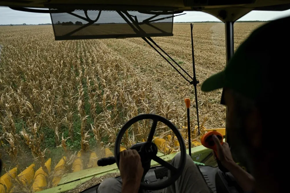 La sequía afectó la actividad agripecuaria