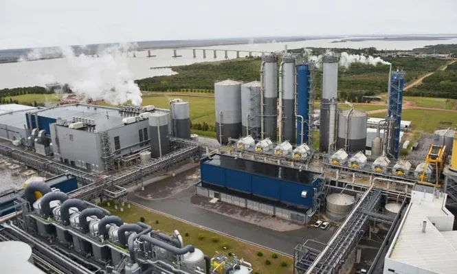 Gobierno y UPM firmaron acuerdo laboral para potencial instalación de nueva pastera