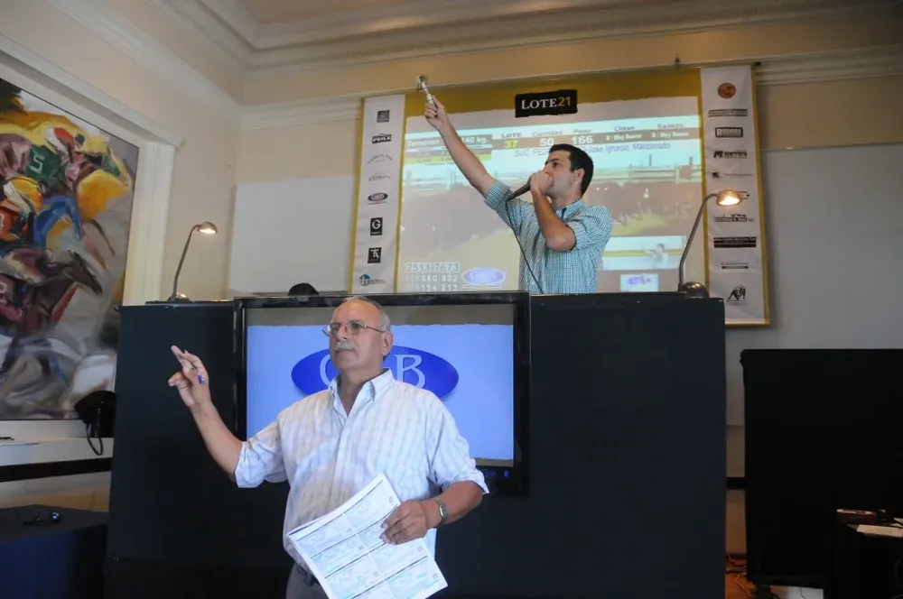 Lote 21 remata en el Hipódromo de Maroñas