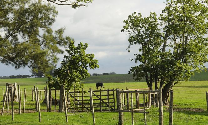 Federación Rural: se expresó sobre el acuerdo Mercosur-UE.