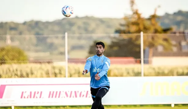 La selección uruguaya entre las 10 con más presupuesto de Qatar 2022