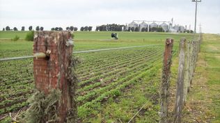 Suelos: el encalado de los campos integra el conjunto de buenas prácticas agrícolas.
