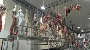 El tema de pago en tercera o cuarta balanza de frigoríficos no está resuelto aún