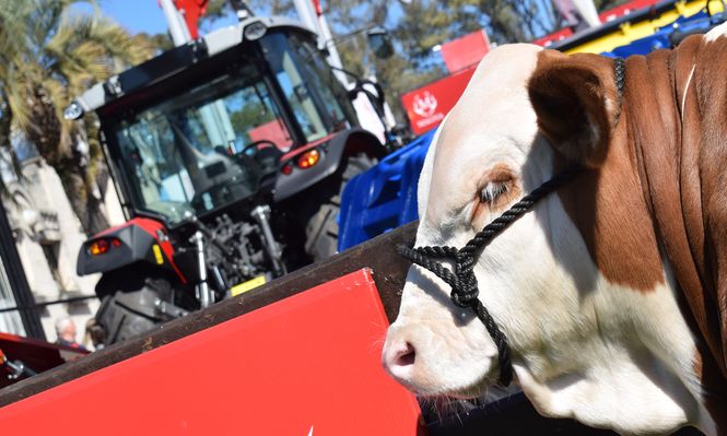 Expo Rural del Prado, síntesis del potencial productivo de Uruguay.