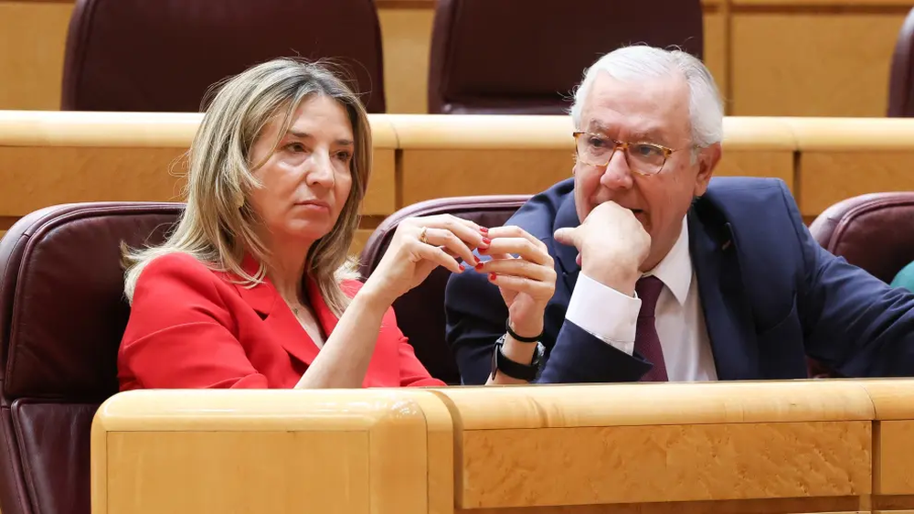 La portavoz del PP en el Senado, Alicia García, en un pleno en el Senado