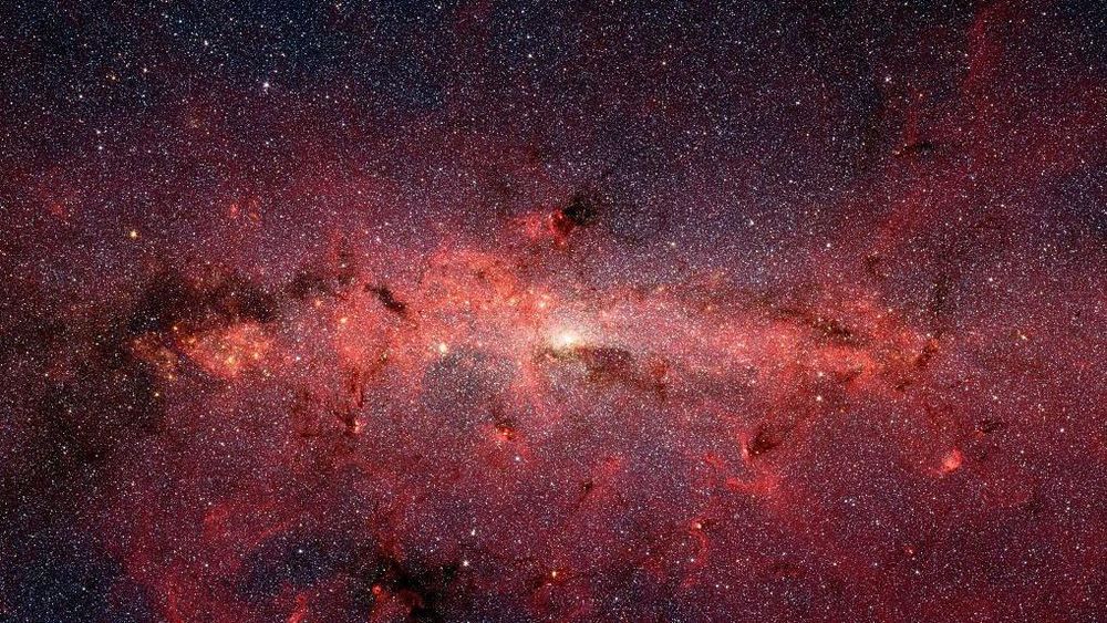https://www.bbc.com/mundo/articles/c2dyd9p4ry8o