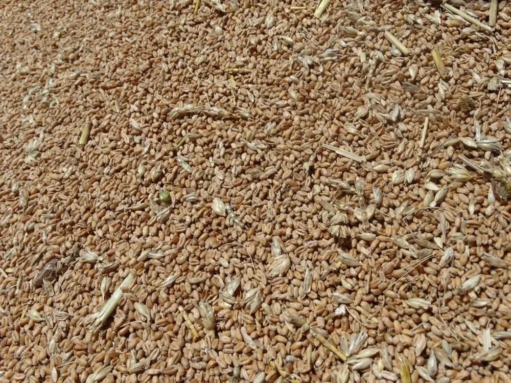 Se observa con atención qué pasará con el precio