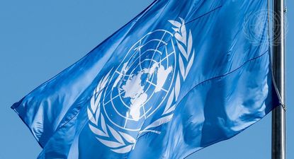 El Observador | UN84239