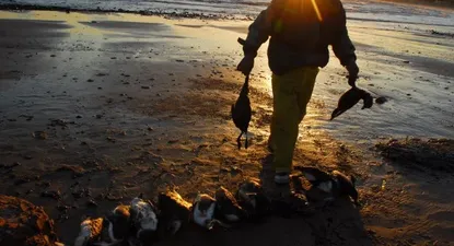 El Observador | 0000302578.webp