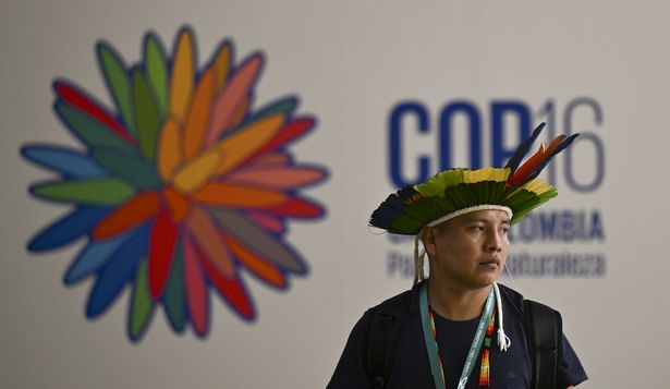 La COP16 arranca en Colombia con llamamiento a una inversión significativa por la biodiversidad