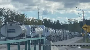 Inale actualizó datos sobre la remisión de leche a los complejos industriales.