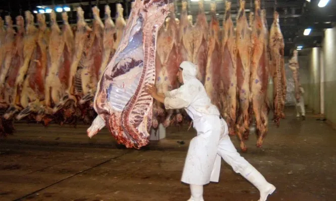La carne argentina puede volver a EEUU