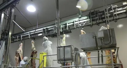 Una demanda muy fuerte principalmente de China hace que se registren muy buenos precios para la carne.