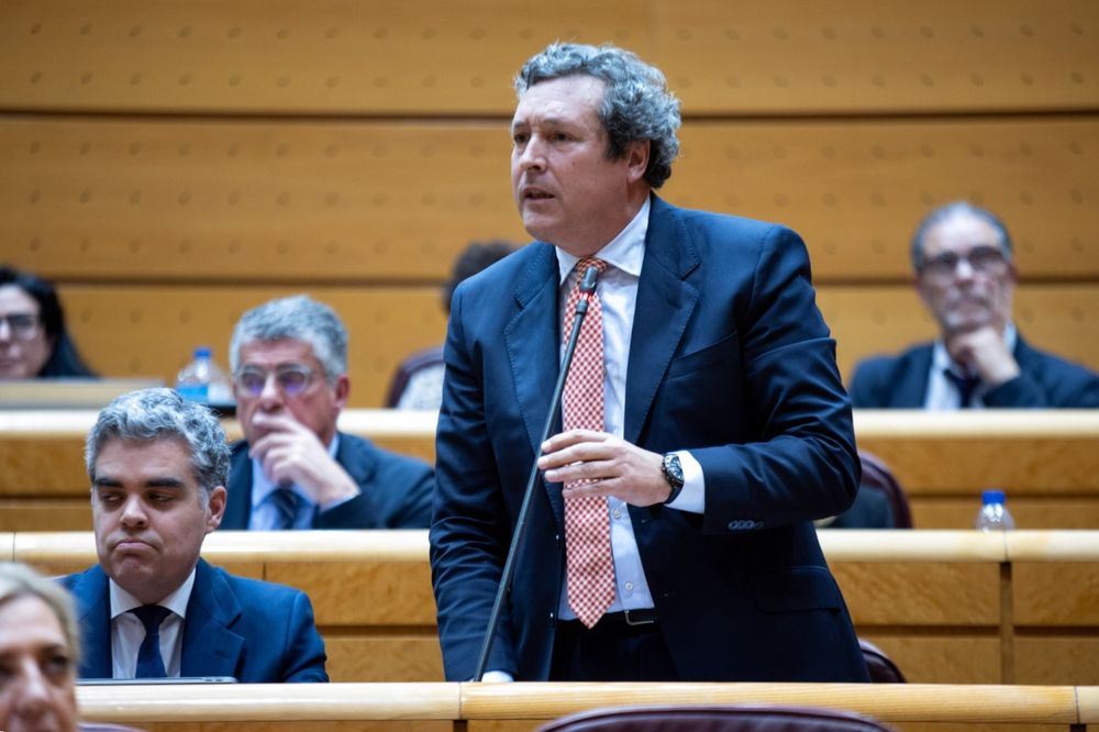 El senador del PP Íñigo Fernández&nbsp;