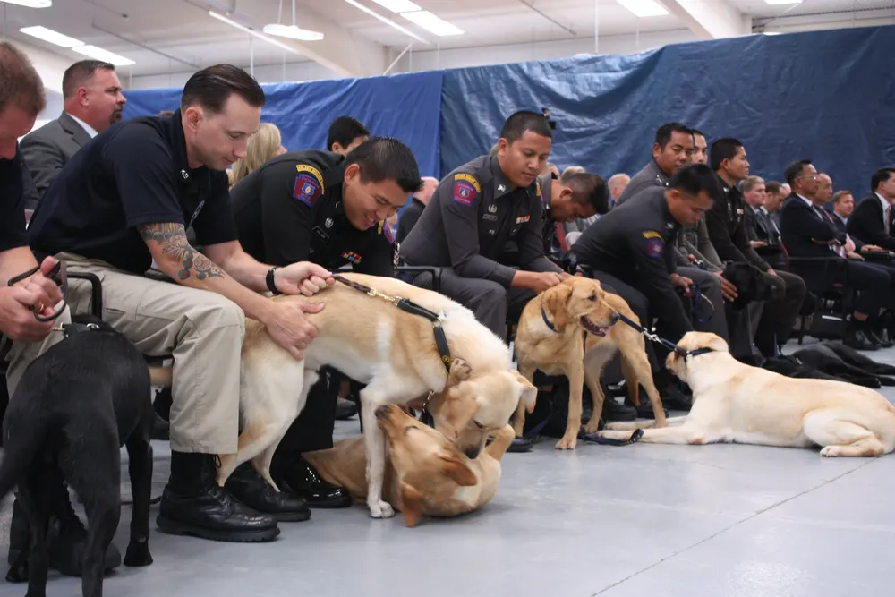 Agentes de la Policía Real de Tailandia y sus perros participan de la ceremonia