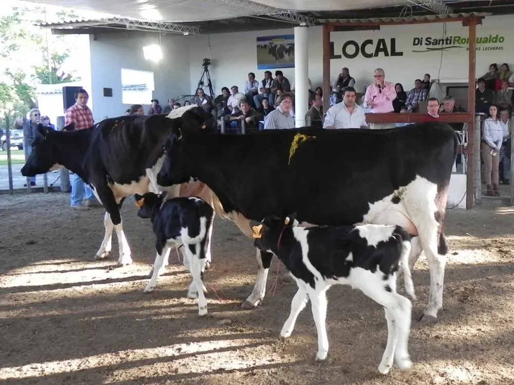 Habrá administración propia con un plazo financiero de 180 días