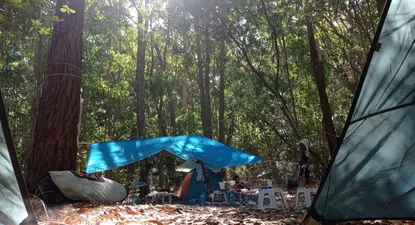 El Observador | 1642205095598.webp