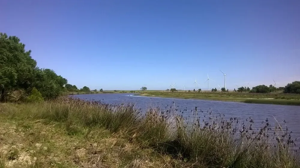Los solares a rematarse cuentan con acceso a servicios de luz y agua