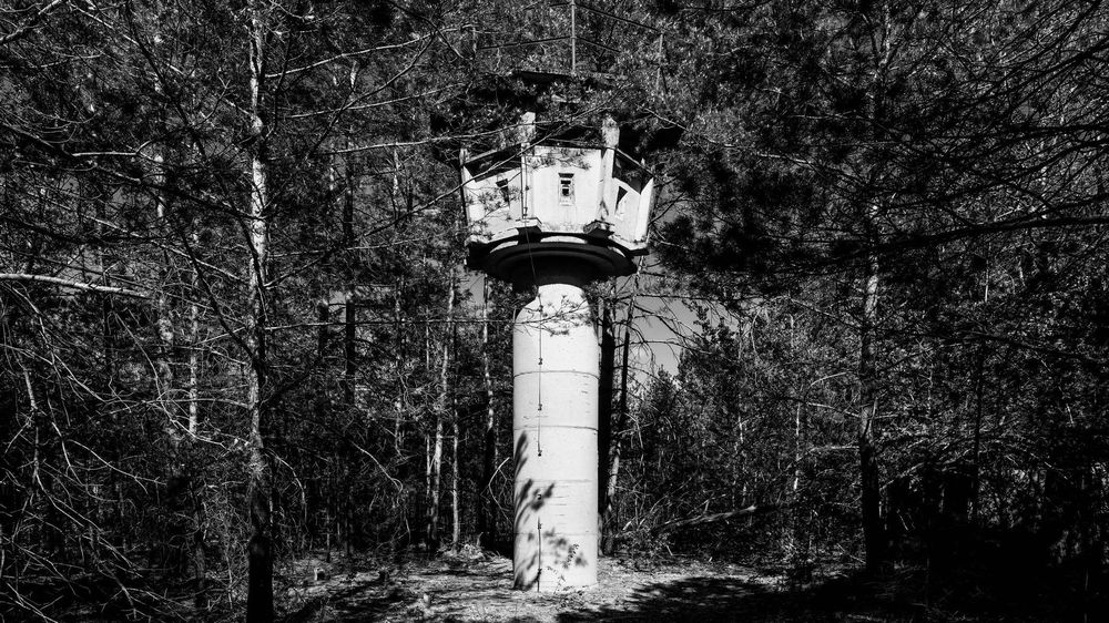 El grupo luchaba por un ambiente más limpio y por el derecho a expresarse.