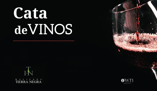 Cata de vinos - 31/7