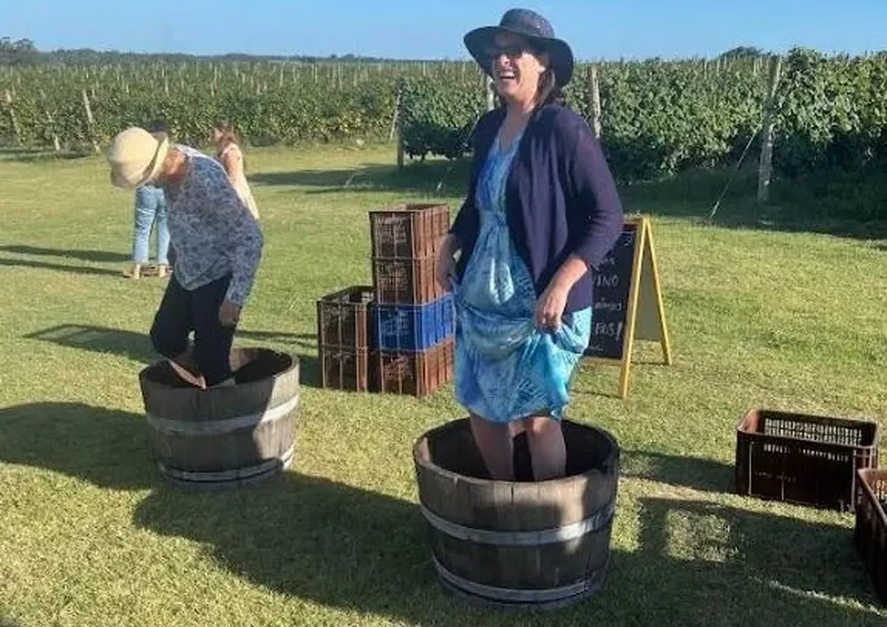 La embajadora y la clásica molienda de uvas, en barrica y con los pies, a la antigua.