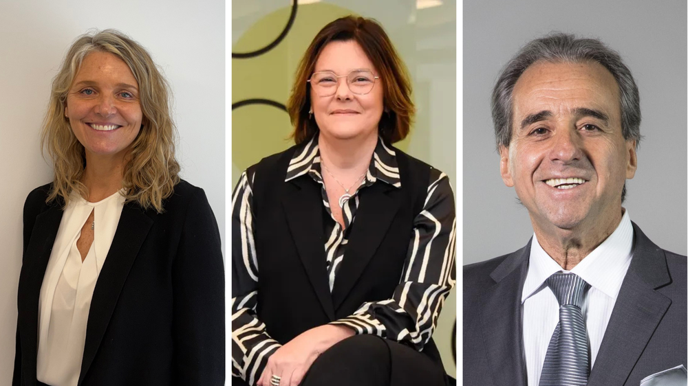 Movida gerencial (31)