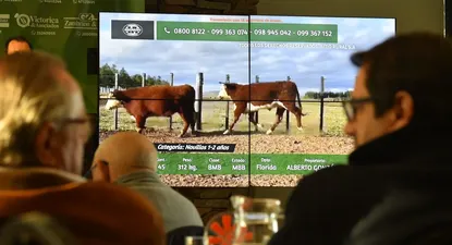La venta de Plaza Rural se hará con la financiación del BROU.